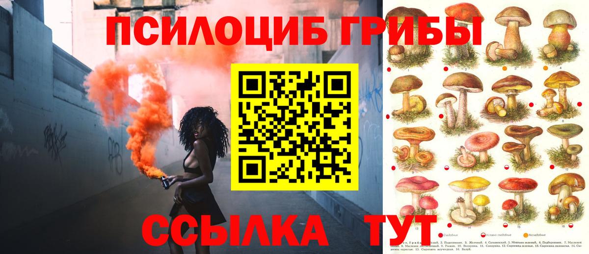 Острогожск  где найти наркотики  Вход с VPN  Псилоцибиновые грибы Cubensis 