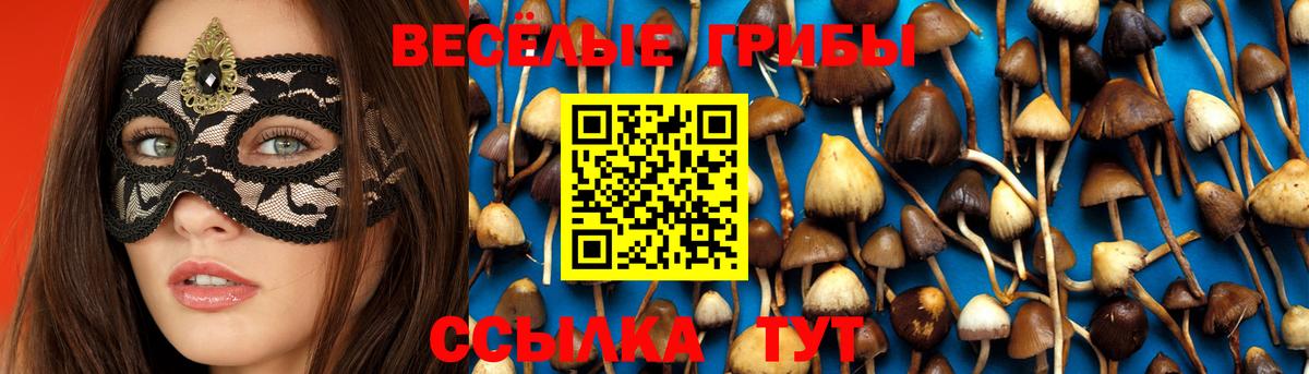 Галлюциногенные грибы Magic Shrooms Острогожск